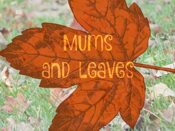 Mums and Leaves (800x600).jpg