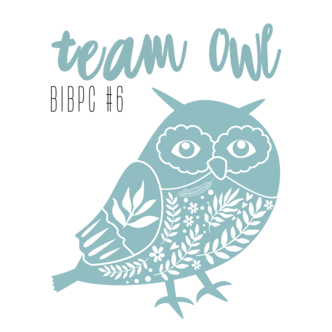 BIBPC #6 Team owl