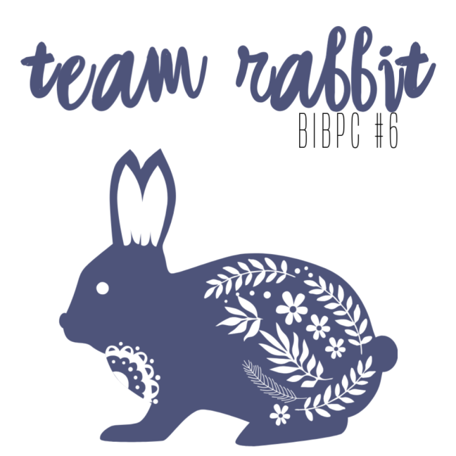 BIBPC #6 Team rabbit